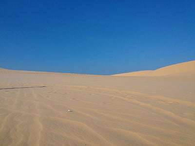 désert, Viêt Nam, MUI ne, chameau, saleté, sable, sable rouge