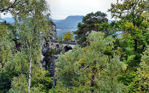 Bastei brug, Saksisch Zwitserland, landschap, boom, bos, natuur, geschiedenis