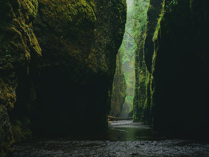 brook, canyon, cliff, landscape, moss, nature, overgrown