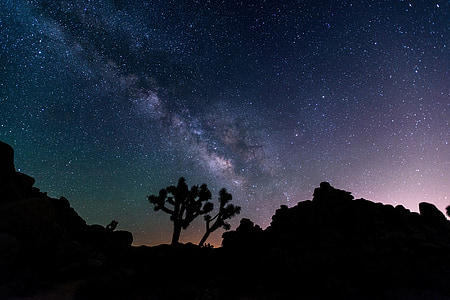 Nočná obloha, hviezdy, Desert, Príroda, Cosmos, siluety, Hviezdna