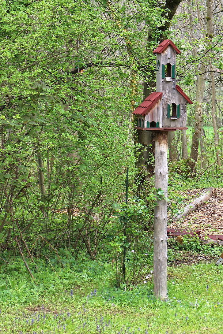 aviary, bird feeder, bird, nesting place, animal welfare, feed, nature