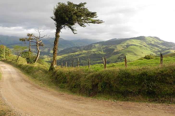 arbre, paysage, Costa Rica, montagne, végétation, nature, colline