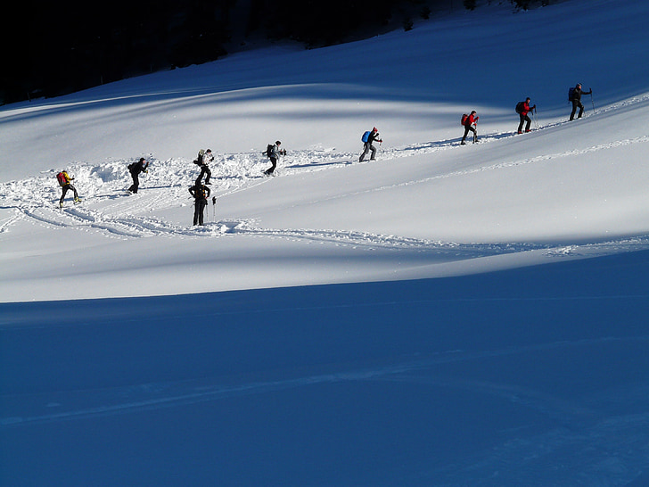 backcountry lyžování, zimní výlet, výlet, Zimní, chlad, spustit, vzestup