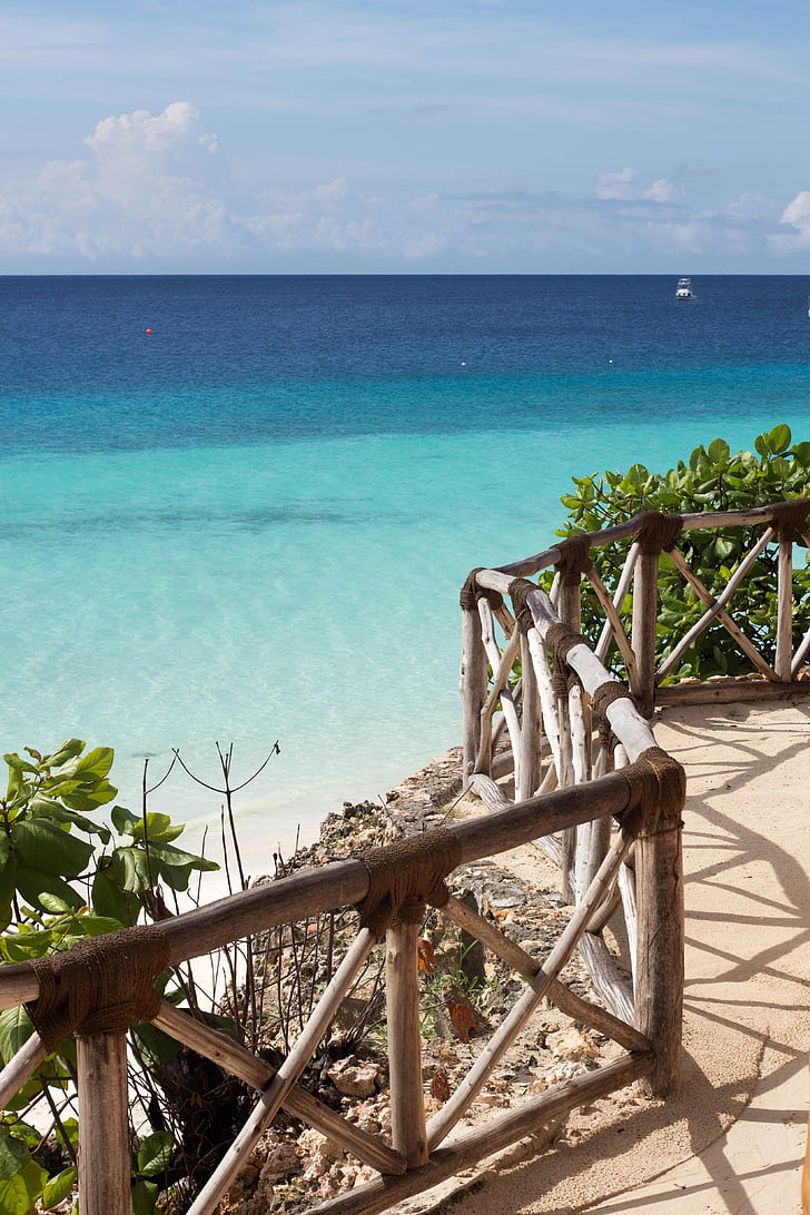 fundal, plajă, albastru, Caraibe, Costa, Conceptul, Coral