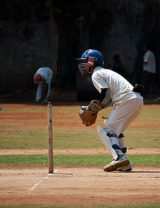 wicket keeper, thể thao, cricket, wicket, Giữ, thực hành, trò chơi bóng