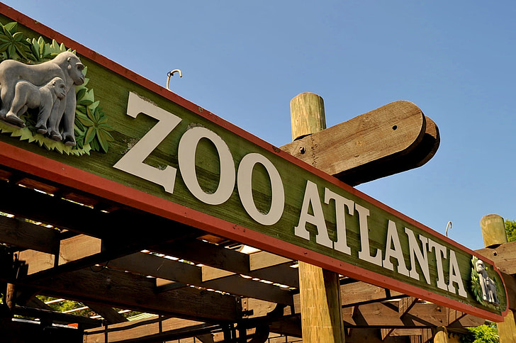zooloģiskais dārzs, Atlanta, savvaļas dzīvnieki, dzīvnieku, daba, savvaļā, zīdītāju