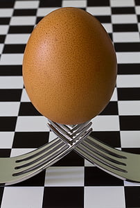 food, morning, breakfast, egg, forks, boiled egg, close-up