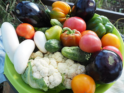 蔬菜, 夏季, 素食主义, 别墅, elitexpo, 收获, 植物