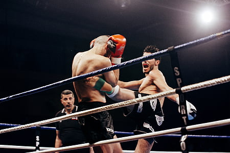dos, homes, lluita, anell, competència, ring de boxa, boxa - esport