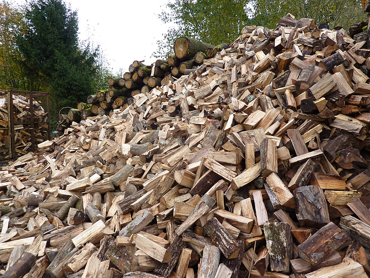 landscape, nature, wood