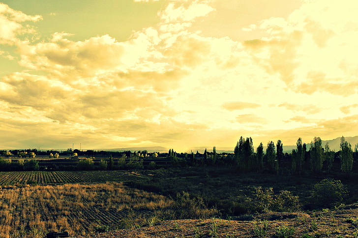 peisaj, Mendoza, copaci, munte, cer, galben, natura