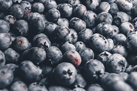 agriculture, berries, bilberry, blueberries, close-up, confection, delicious