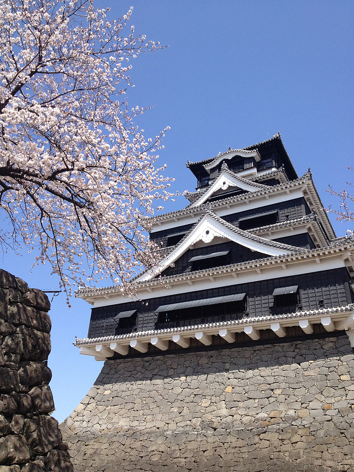 grad Kumamoto, pomlad, stavbe, arhitektura, Kumamoto, Japonska