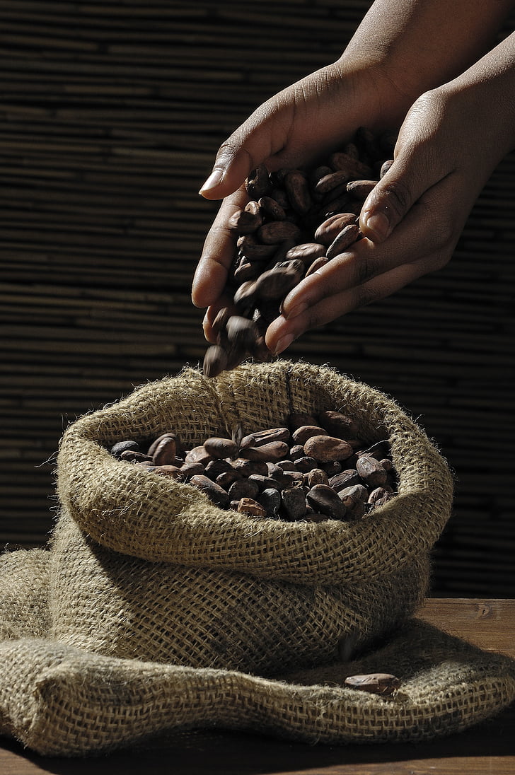 coffee, beans, gray, sack, chocolate, Human, hands