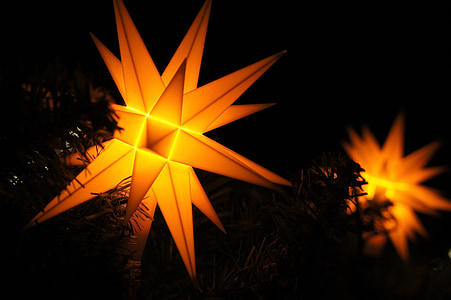 božične zvezde, božič, zvezda, božič dekor, božični večer, pojav, dekoracija