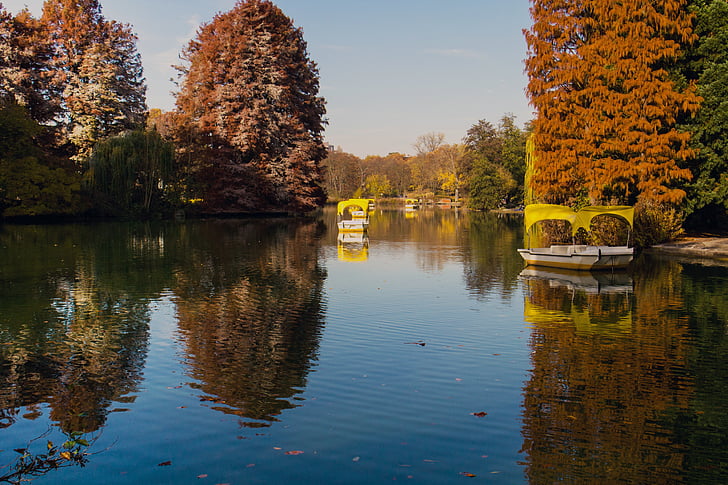 rudenį, rudens nuotaika, dažymas, rudens spalvos, ežeras, vandens, medis