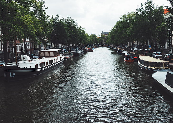 canal, l'aigua, embarcacions, arbres, ciutat, ciutat, Amsterdam