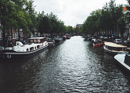 canal, water, boats, trees, city, town, amsterdam