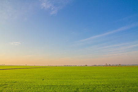 pildi vaade, Viljapõllu, riisi, väli, põllumaad