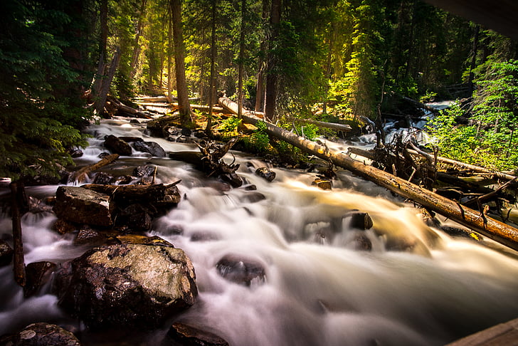 cascade, creek, environment, fall, flow, forest, landscape