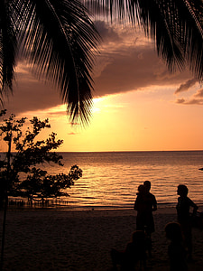 Zanzibar, acqua, spiaggia, palme