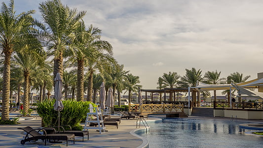 Bahrain, Palm, träd, pool, arabiska, havet, resor
