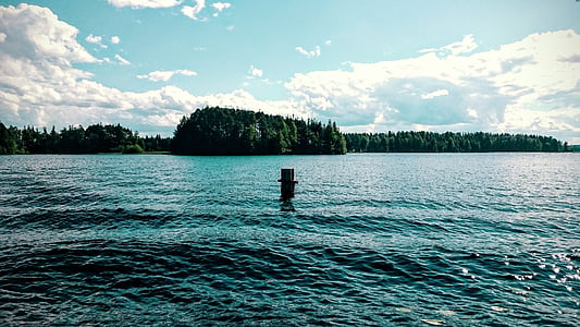 sommar, sjön, stranden, träd, vatten, Finska, naturen foto