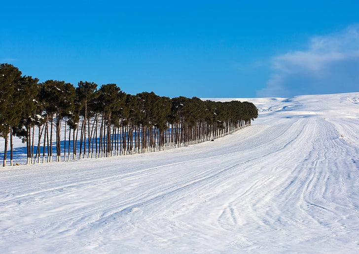 azerbaijan, snow, winter, road, countryside, forest, hill