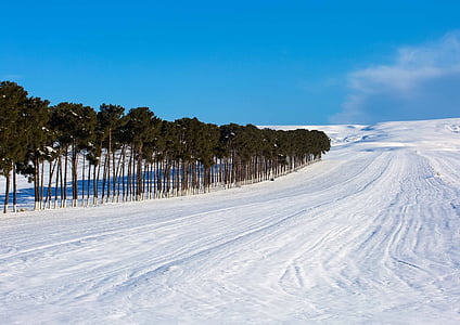 Azerbaycan, kar, Kış, yol, kırsal, Orman, Hill