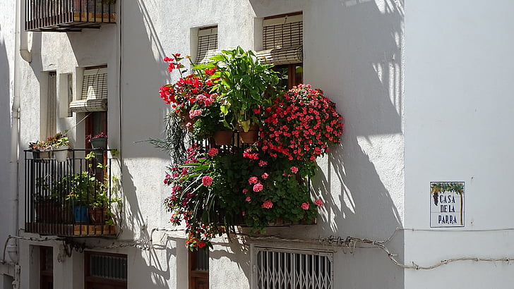 vinduet, blomster, våren, munter vindu, fasade, hage, arkitektur
