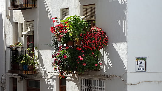 окно, Цветы, Весна, веселый окно, фасад, Сад, Архитектура