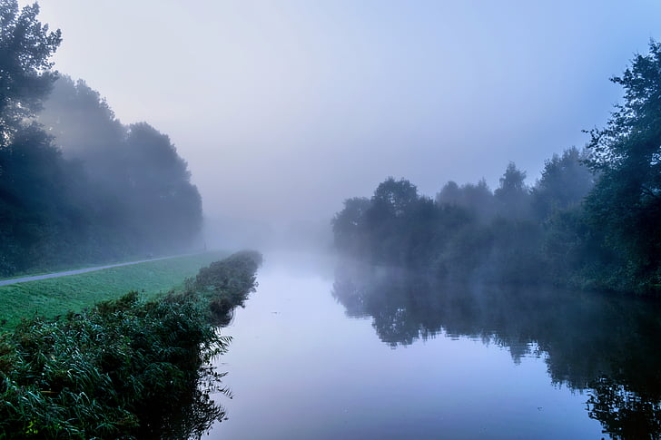 landscape, autumn, winter, nature, trees, bach, river