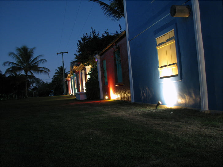 Silhouette, Palm, cây, gần, màu xanh, bê tông, ngôi nhà