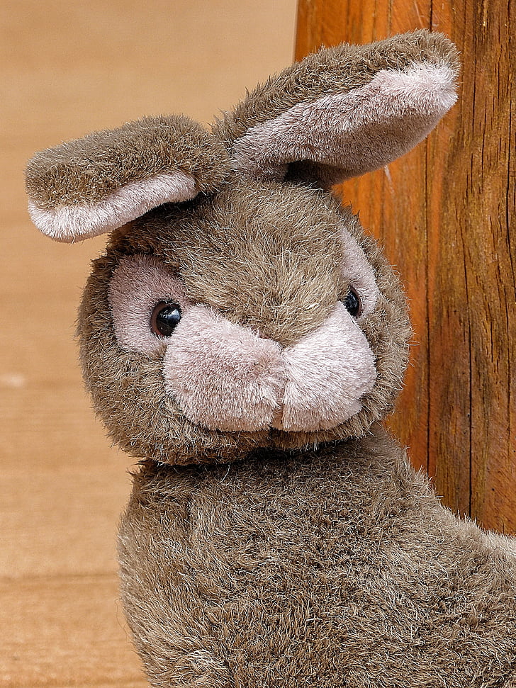 fabric, bunny, child's toy, adorable, face, close-up, animal