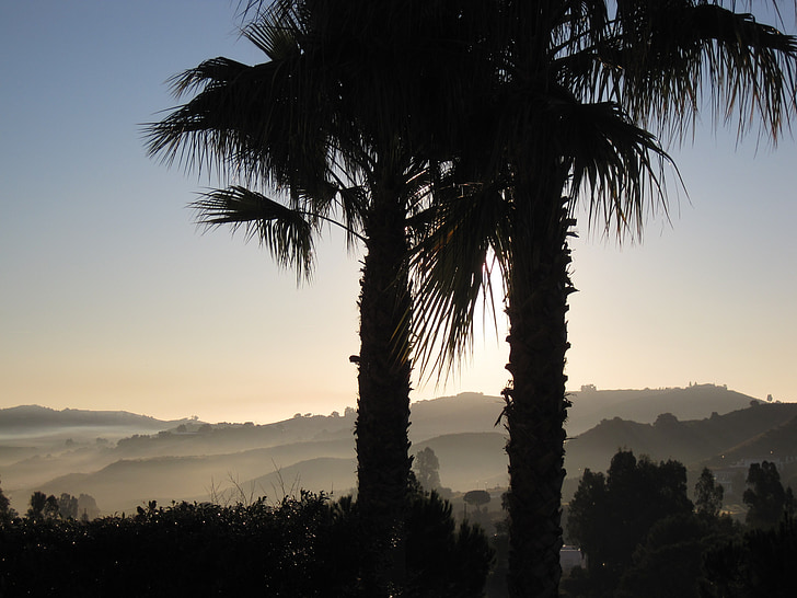 La cala de migas, Ispanija, saulėtekio, ryte, delnai, palmės, rūkas