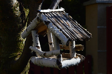 Vogel, Winter, Bird feeder, Natur, Garten