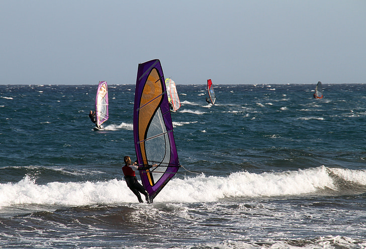 windsurf, wind, surfing, windsurfing, sea, sport, vacation