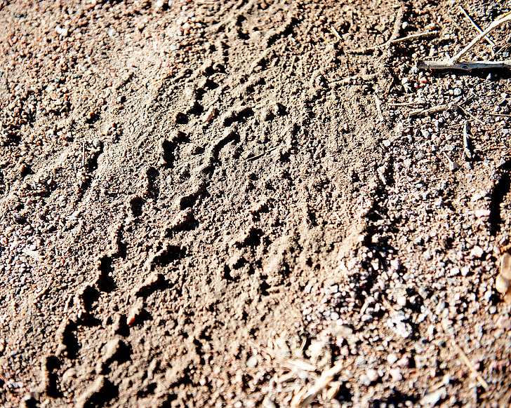 tire tracks, tracks, dirt, tire, road, land, tread