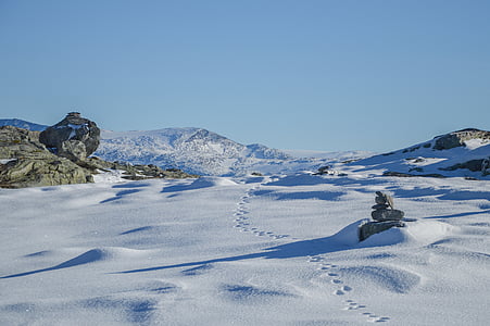 діаграма з накопиченням, камені, поблизу, у тексті, Лапи, сніг, Гора