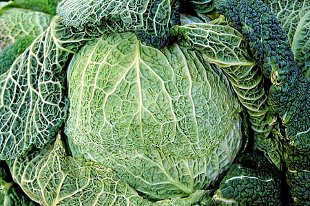 Savoy, Kohl, hijau, sayuran, sehat, Vitamin, sayur