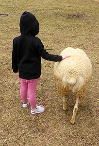 amizade, criança, ovelhas, bonito, amor, juntos, animal de estimação
