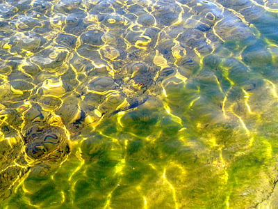 Wallersee, l’eau claire, réflexions