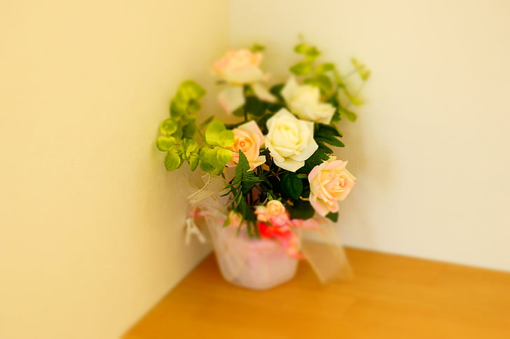 blomster, buket, arrangement, miniature, steg, blomst, dekoration