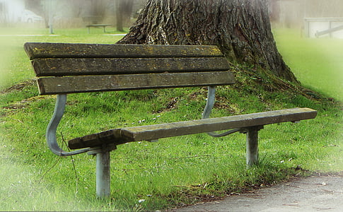 bank, seat, park bench, rest, recovery