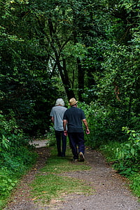 hombres, caminando, árboles, naturaleza, vía, poca gente