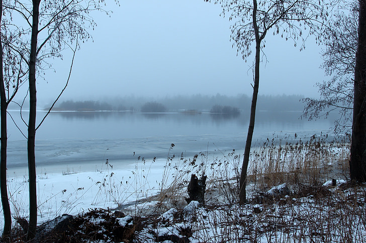 Finland, landskab, naturskønne, tåge, floden, vand, vinter