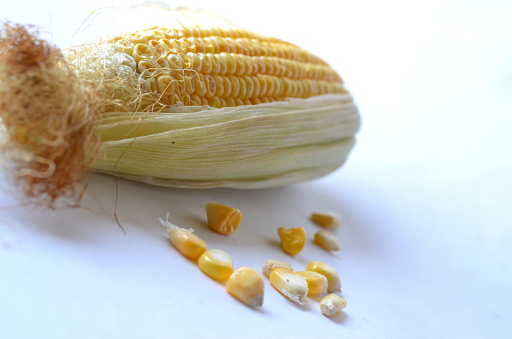 Кукурудза, Кукурудза, овочі, зерна, органічні, жнива, харчування