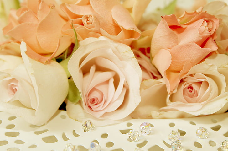 róże, Płyta, romantyczny, kwiat, Bloom, Walentynki, ślub