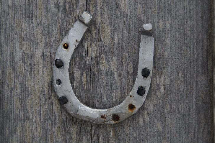 horseshoe, luck, lucky charm, suspended, decoration, horse