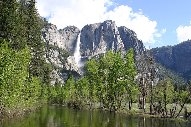 Yosemite, skov, natur, træer, træ, landskab, vandreture